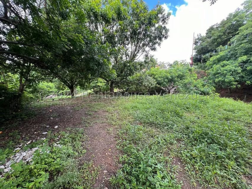 Casa (1 Nivel) en Venta en Distrito San Casimiro, Aragua - 55