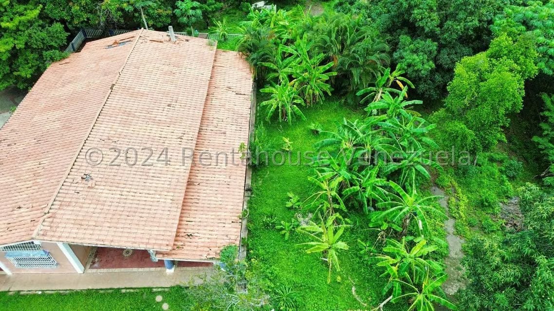Casa (1 Nivel) en Venta en Distrito San Casimiro, Aragua - 80