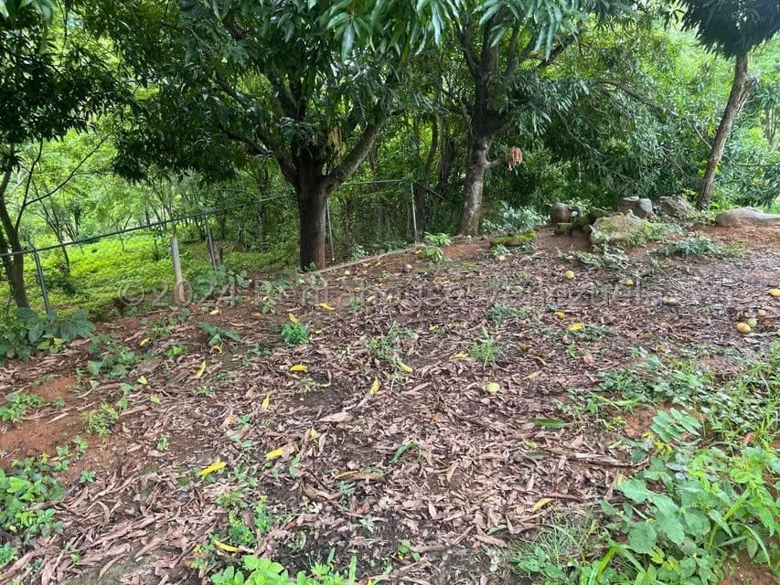 Casa (1 Nivel) en Venta en Distrito San Casimiro, Aragua - 9
