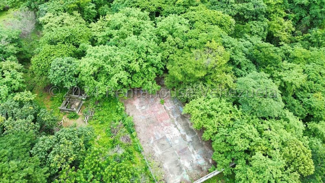 Casa (1 Nivel) en Venta en Distrito San Casimiro, Aragua - 81
