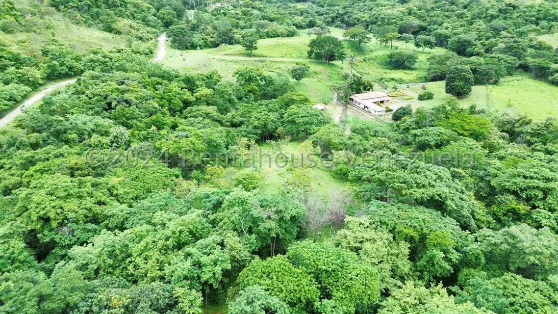 Casa (1 Nivel) en Venta en Distrito San Casimiro, Aragua - 85