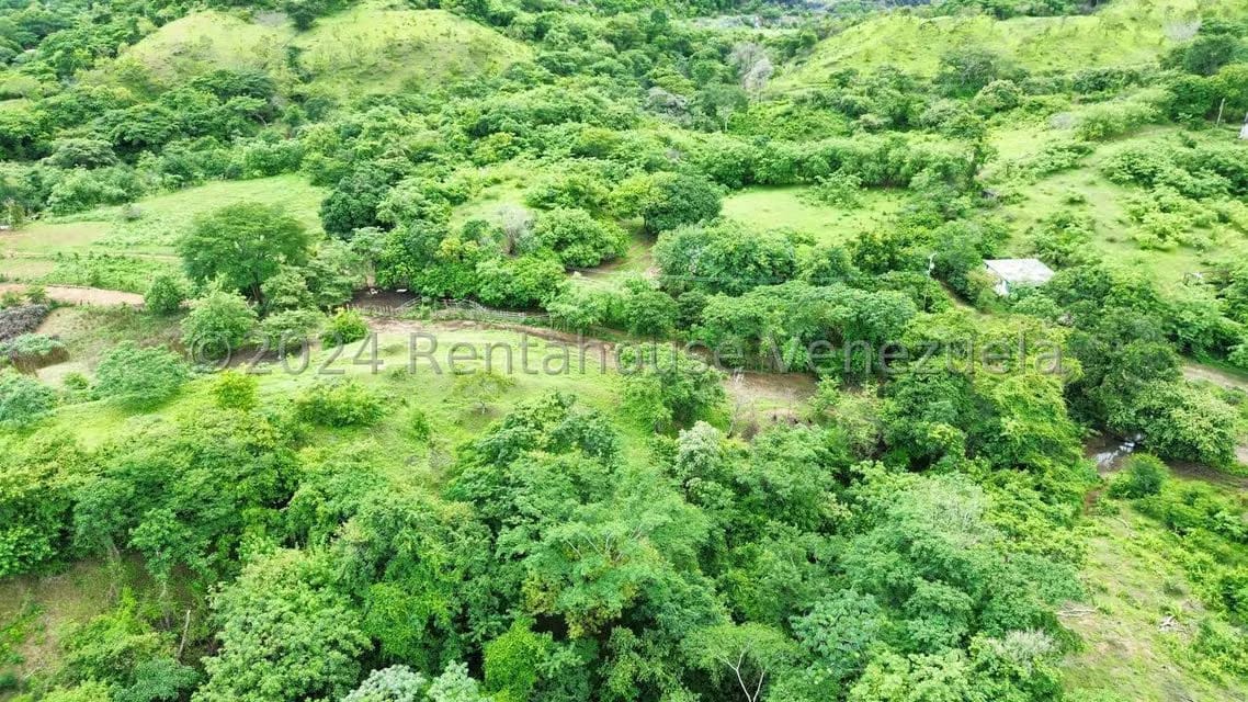 Casa (1 Nivel) en Venta en Distrito San Casimiro, Aragua - 88