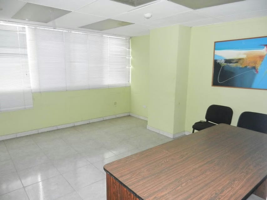 Comercial (Oficina) en Venta en Mariperez, Distrito Metropolitano - 23