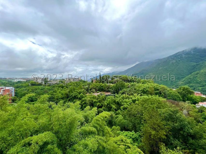 Apartamento (1 Nivel) en Venta en Miranda, Distrito Metropolitano - 8