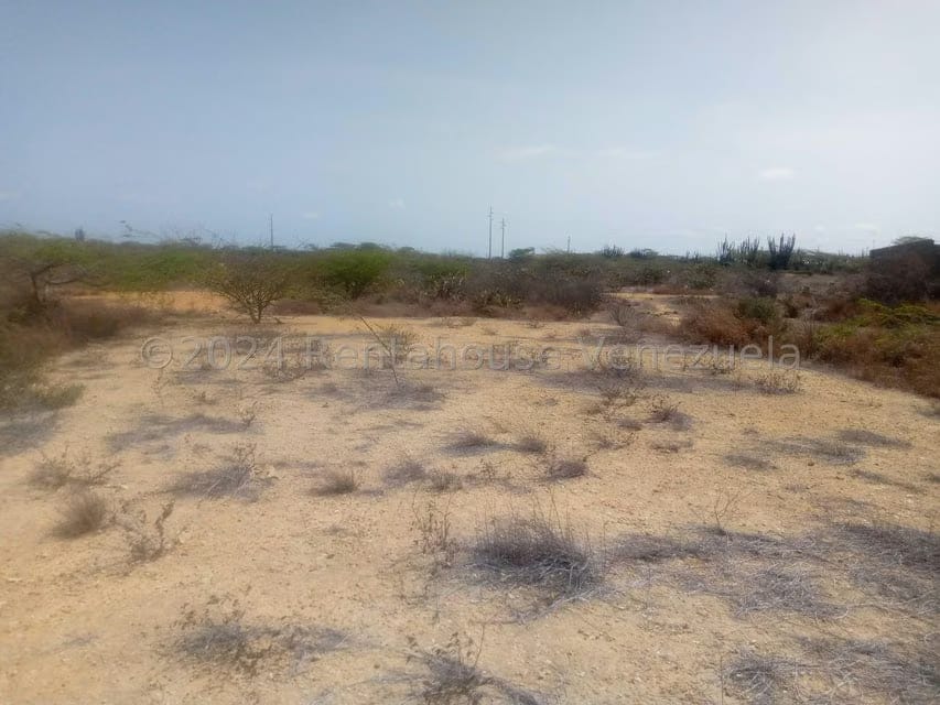 Terreno (Comercial) en Venta en El Cardon, Falcon - 3