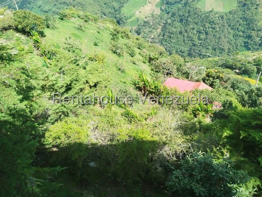 Casa (Casas de Campo) en Venta en La Colonia Tovar, Aragua - 12