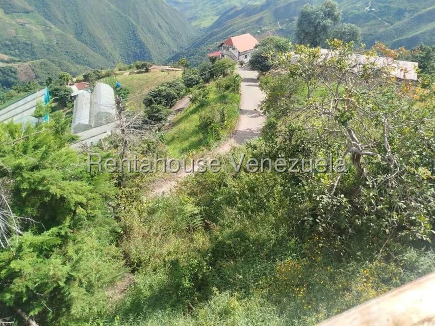 Casa (Casas de Campo) en Venta en La Colonia Tovar, Aragua - 39