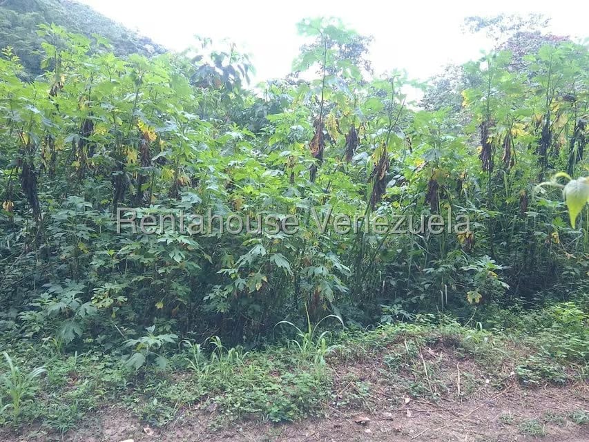 Terreno (Residencial) en Venta en El Hatillo, Distrito Metropolitano