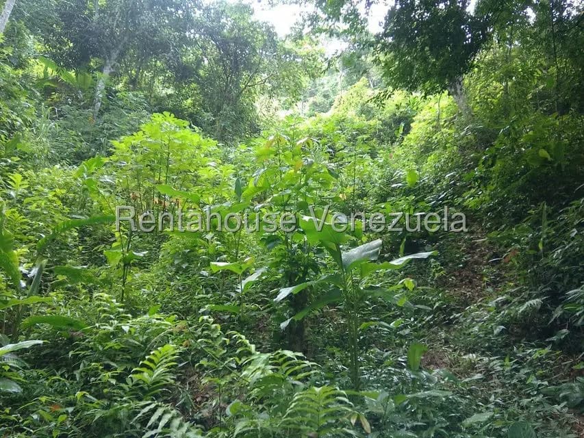 Terreno (Residencial) en Venta en El Hatillo, Distrito Metropolitano - 2
