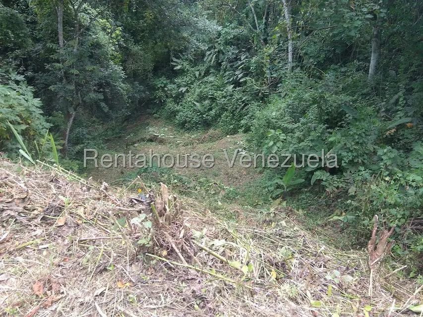 Terreno (Residencial) en Venta en El Hatillo, Distrito Metropolitano - 11