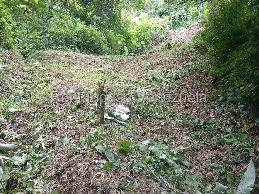 Terreno (Residencial) en Venta en El Hatillo, Distrito Metropolitano - 12