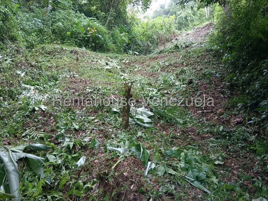 Terreno (Residencial) en Venta en El Hatillo, Distrito Metropolitano - 13