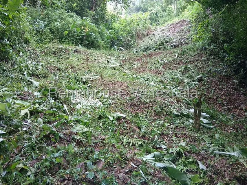 Terreno (Residencial) en Venta en El Hatillo, Distrito Metropolitano - 3