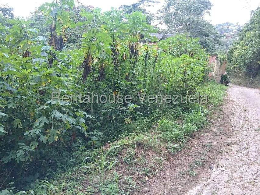 Terreno (Residencial) en Venta en El Hatillo, Distrito Metropolitano - 5