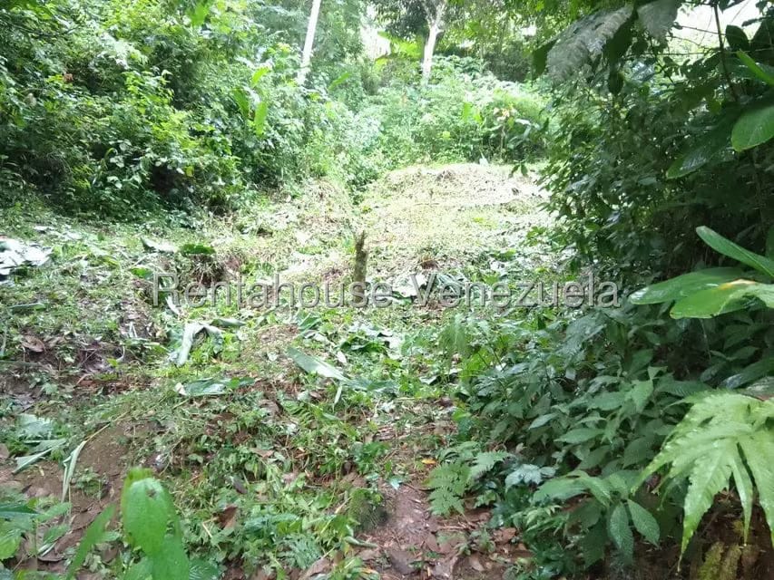 Terreno (Residencial) en Venta en El Hatillo, Distrito Metropolitano - 6