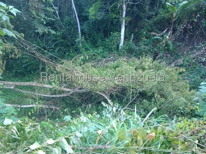 Terreno (Residencial) en Venta en El Hatillo, Distrito Metropolitano - 7