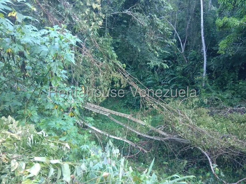 Terreno (Residencial) en Venta en El Hatillo, Distrito Metropolitano - 8