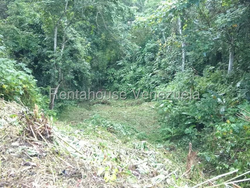 Terreno (Residencial) en Venta en El Hatillo, Distrito Metropolitano - 9