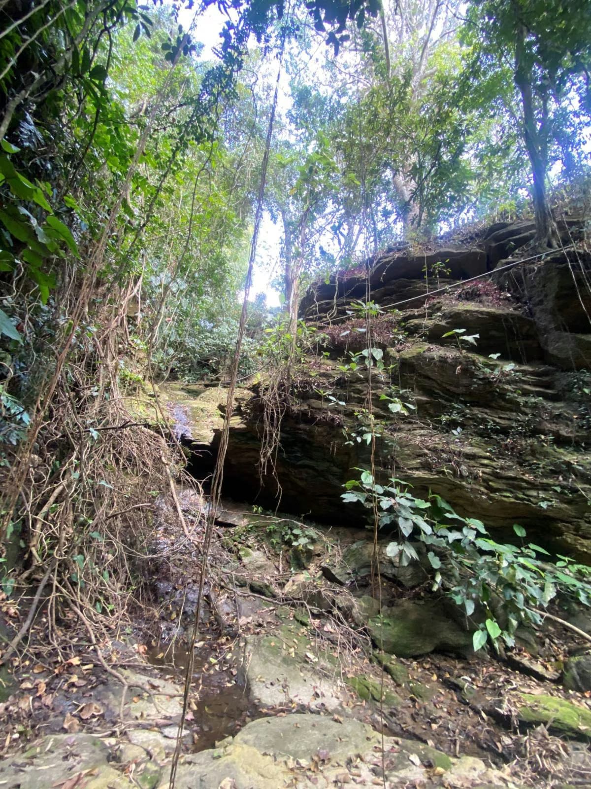 Posada Turística en Venta - Oripoto - El Hatillo - Estado Miranda - 9