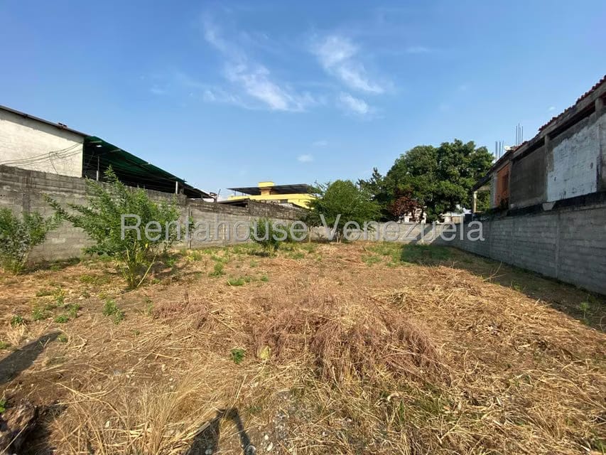 Terreno (Comercial) en Alquiler en Centro, Portuguesa - 3