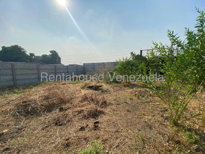 Terreno (Comercial) en Alquiler en Centro, Portuguesa - 5