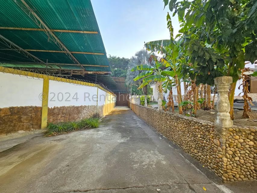 Comercial (Posada) en Alquiler en San Felipe, Yaracuy - 43