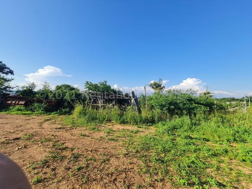 Terreno (Comercial) en Venta en Tarabana, Lara - 12