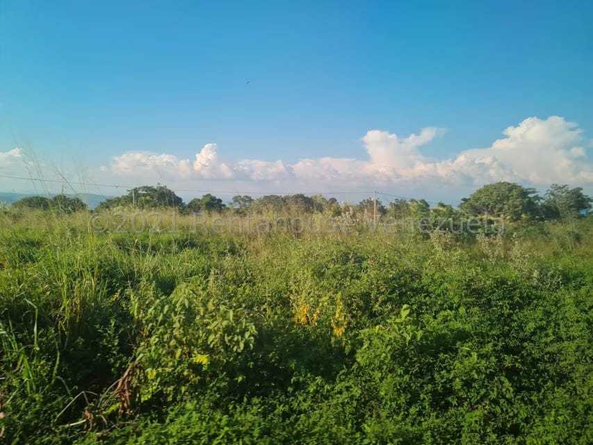 Terreno (Comercial) en Venta en Tarabana, Lara - 13