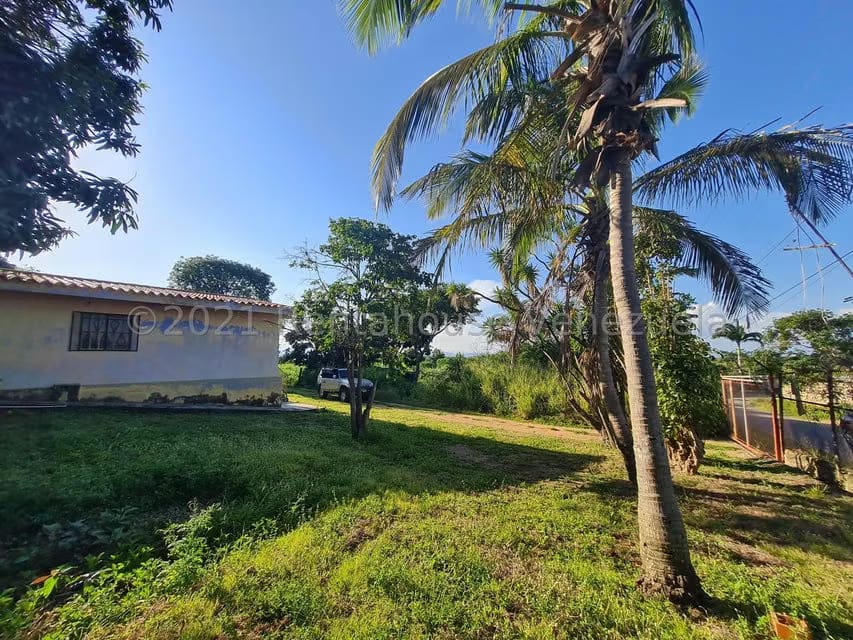 Terreno (Comercial) en Venta en Tarabana, Lara - 3