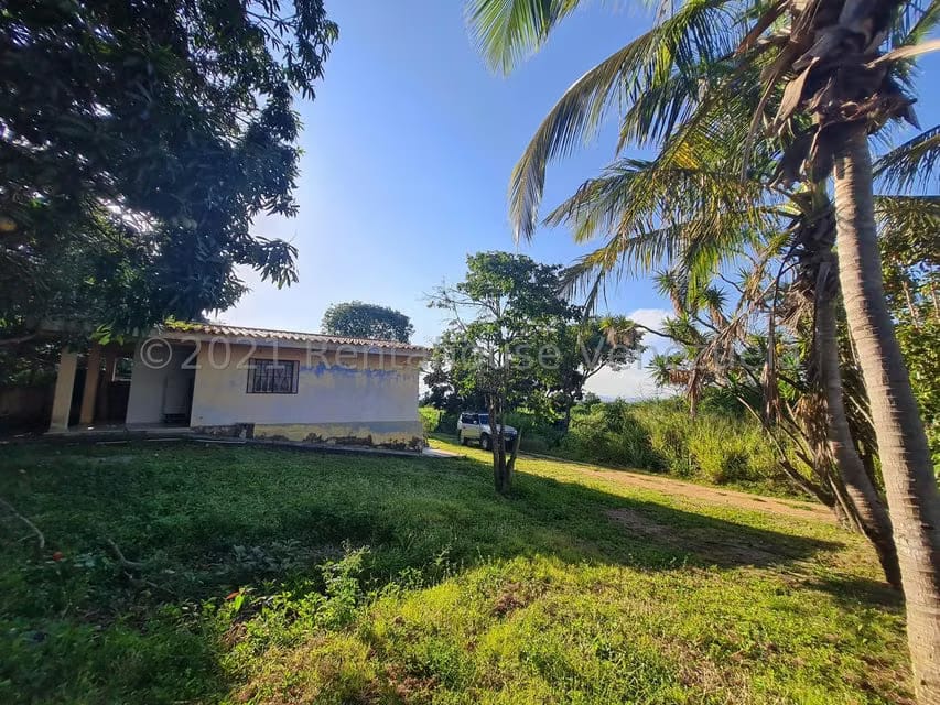 Terreno (Comercial) en Venta en Tarabana, Lara - 4