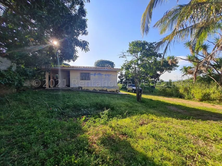 Terreno (Comercial) en Venta en Tarabana, Lara - 5