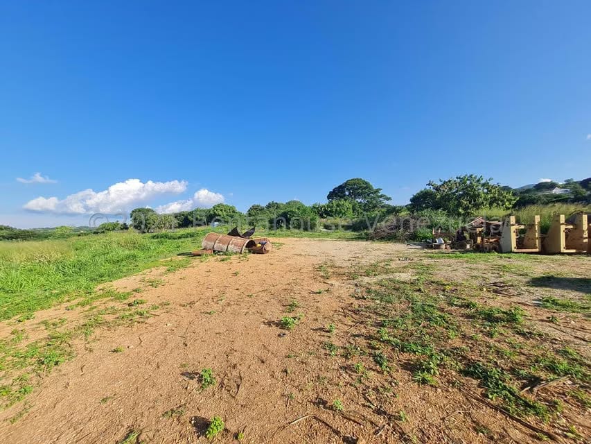Terreno (Comercial) en Venta en Tarabana, Lara - 9