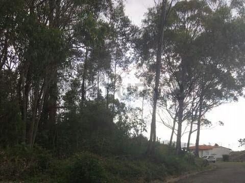 ¡Terreno Residencial en Venta en Junko Country Club! Am - 2