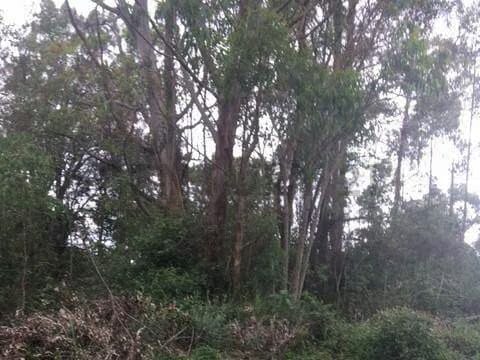 ¡Terreno Residencial en Venta en Junko Country Club! Am - 6