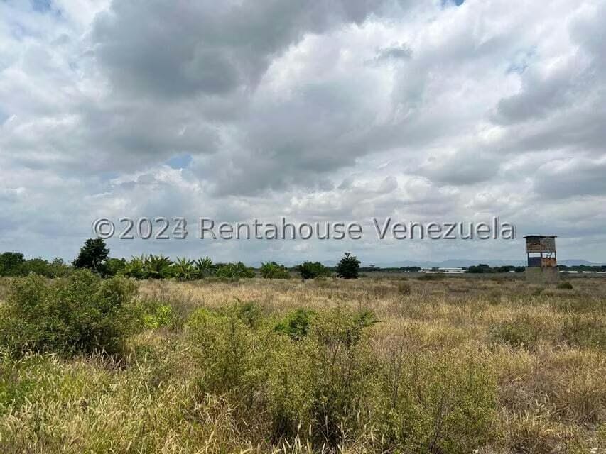 Terreno (Comercial) en Venta en Zona Oeste, Lara - 5