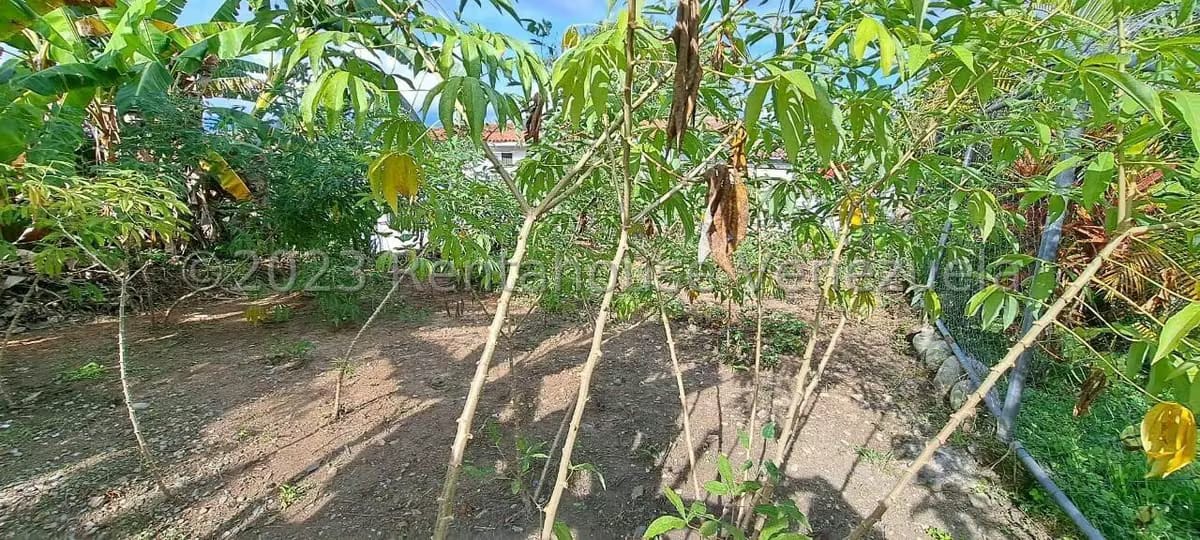 Terreno (Residencial) en Venta en Monte Elena, Distrito Metropolitano - 8