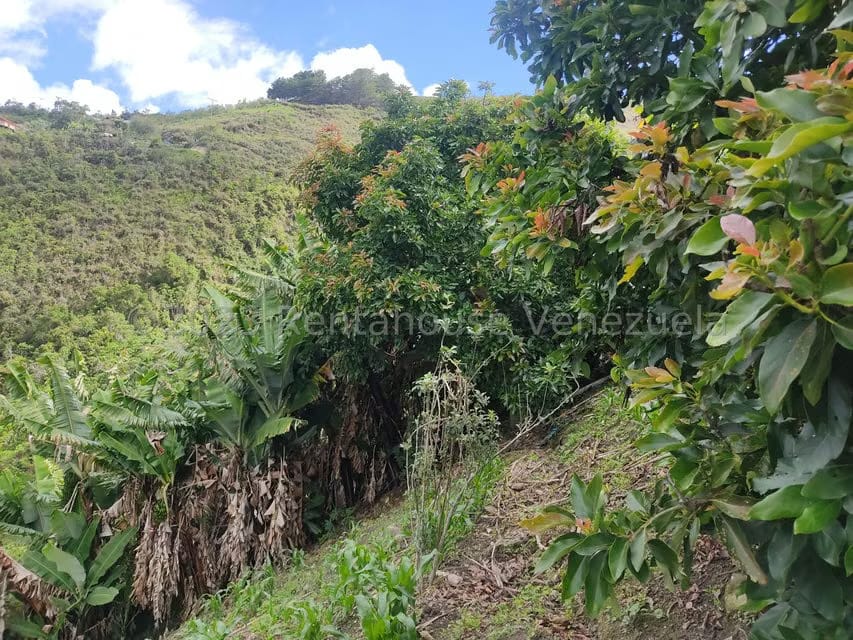 Casa (Multipes Niveles) en Venta en Sector Potrero Perdido, Aragua - 33