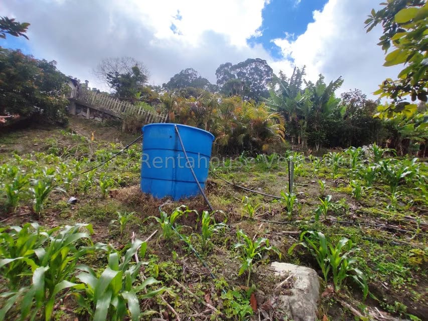 Casa (Multipes Niveles) en Venta en Sector Potrero Perdido, Aragua - 34