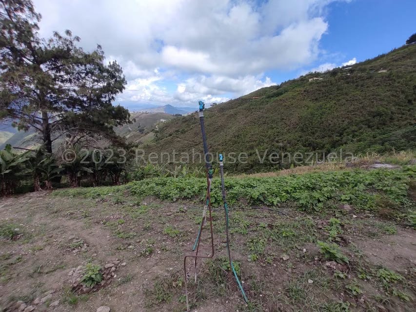 Casa (Multipes Niveles) en Venta en Sector Potrero Perdido, Aragua - 37