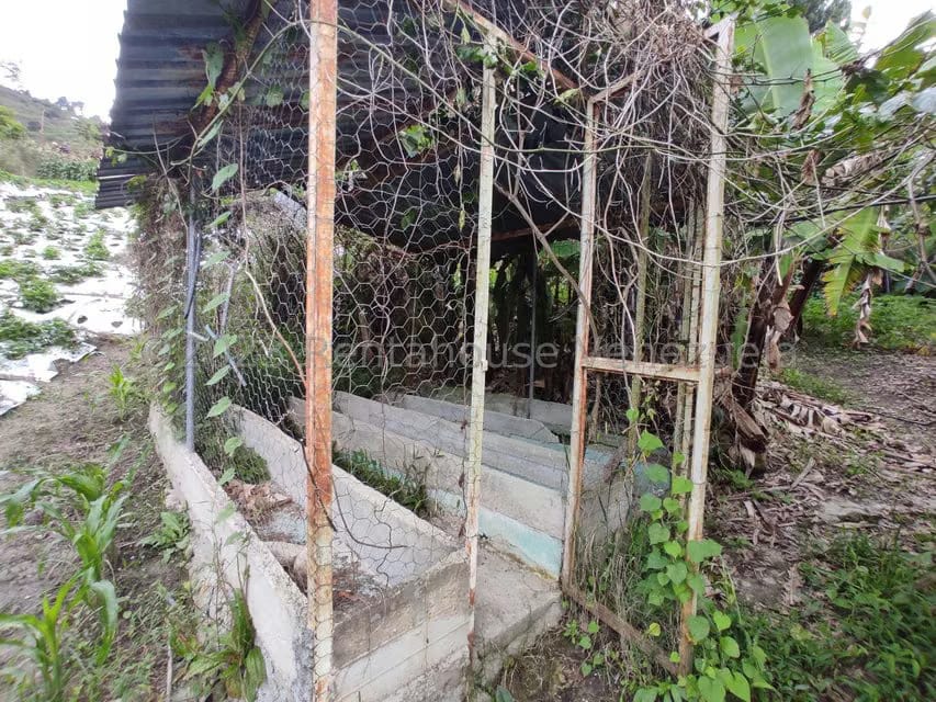 Casa (Multipes Niveles) en Venta en Sector Potrero Perdido, Aragua - 40