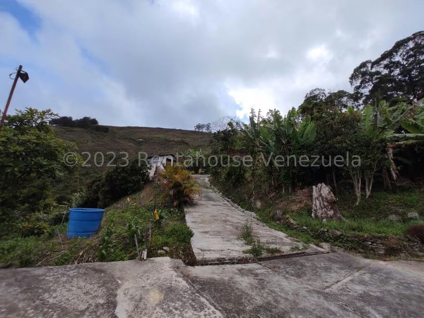 Casa (Multipes Niveles) en Venta en Sector Potrero Perdido, Aragua - 5