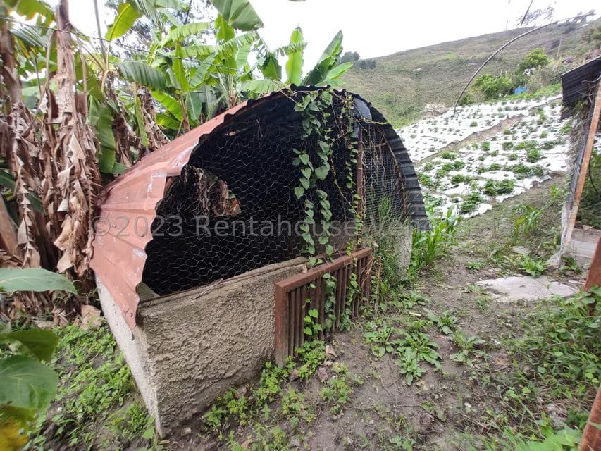 Casa (Multipes Niveles) en Venta en Sector Potrero Perdido, Aragua - 41