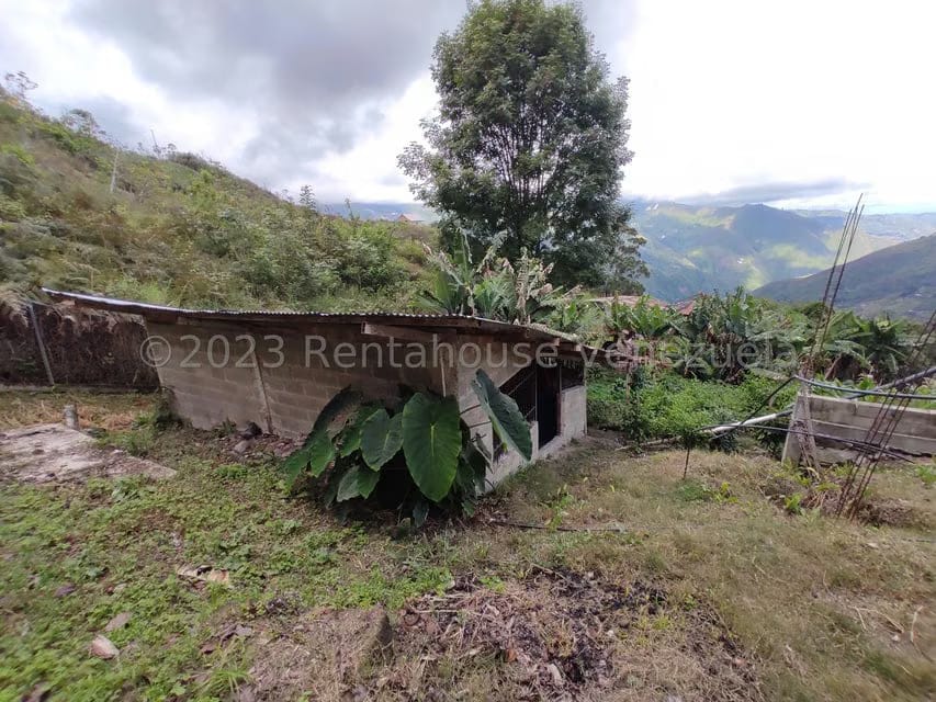 Casa (Multipes Niveles) en Venta en Sector Potrero Perdido, Aragua - 44
