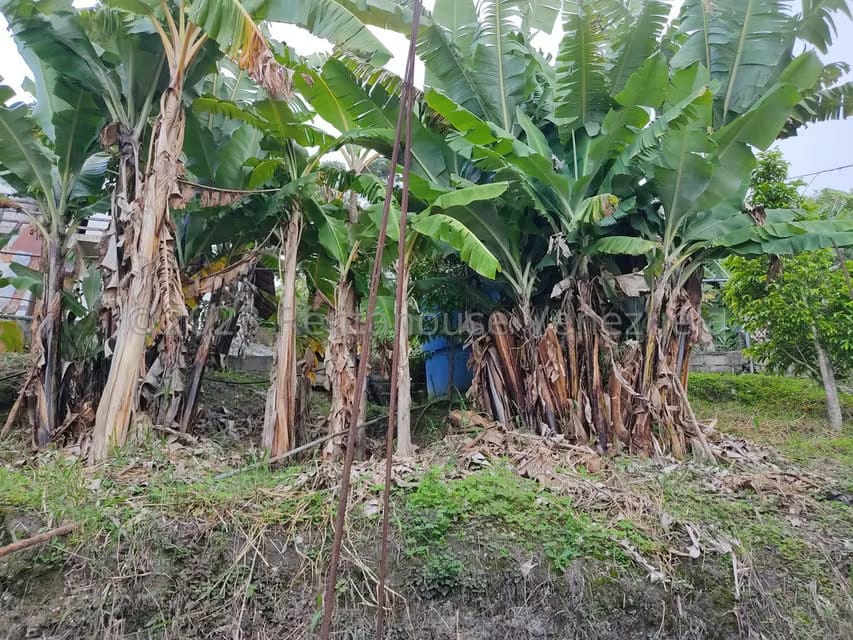 Casa (Multipes Niveles) en Venta en Sector Potrero Perdido, Aragua - 47