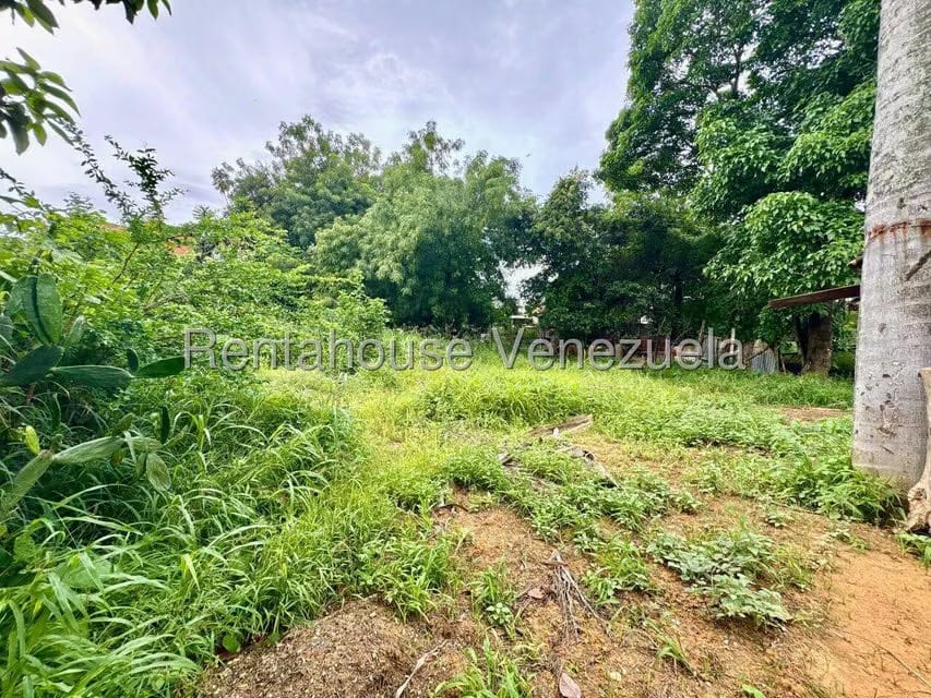 Terreno (Comercial) en Venta en Centro, Lara - 41