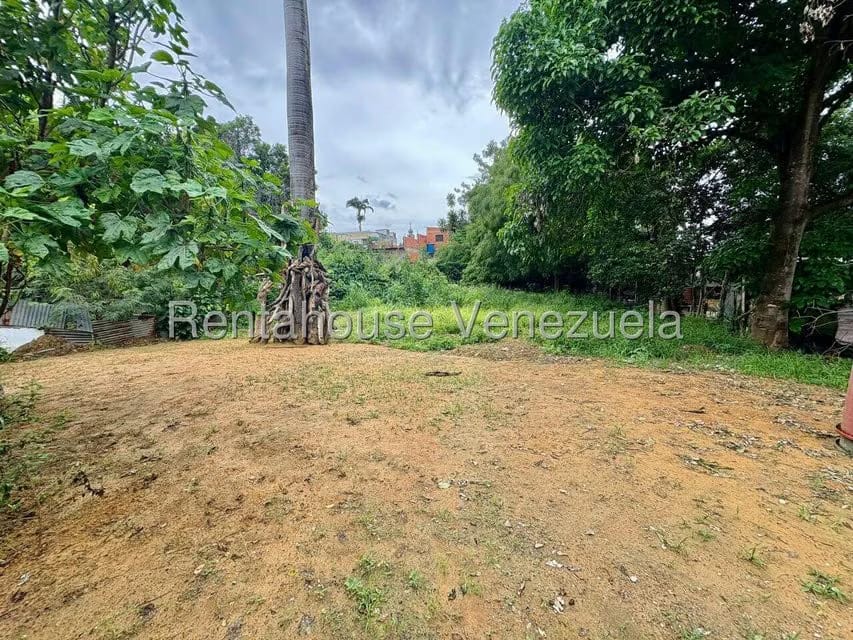 Terreno (Comercial) en Venta en Centro, Lara - 52