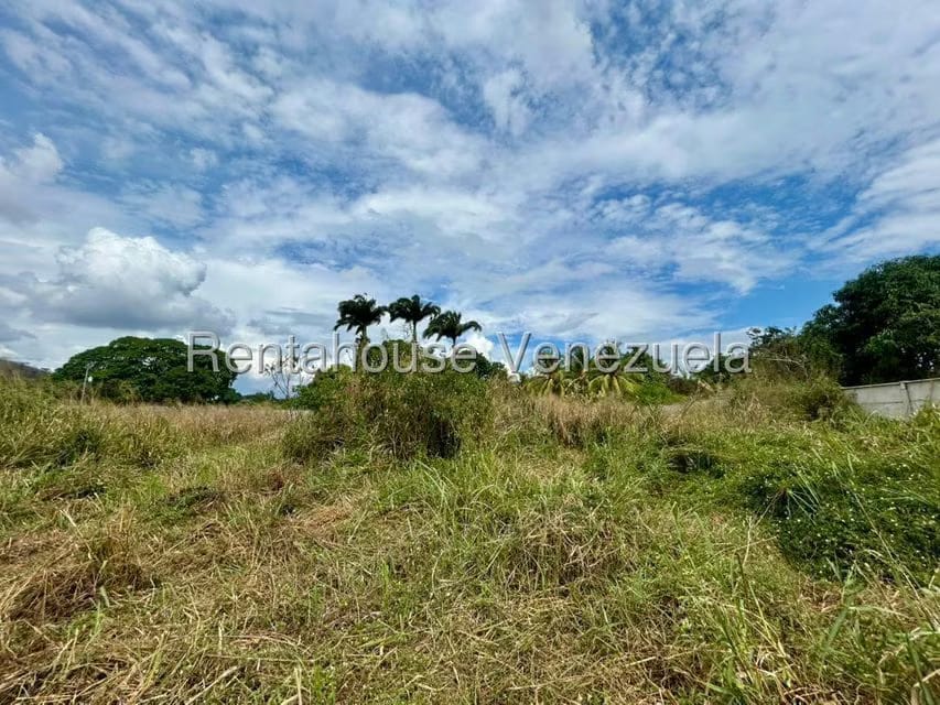 Terreno (Comercial) en Venta en Municipio Peña, Yaracuy - 11