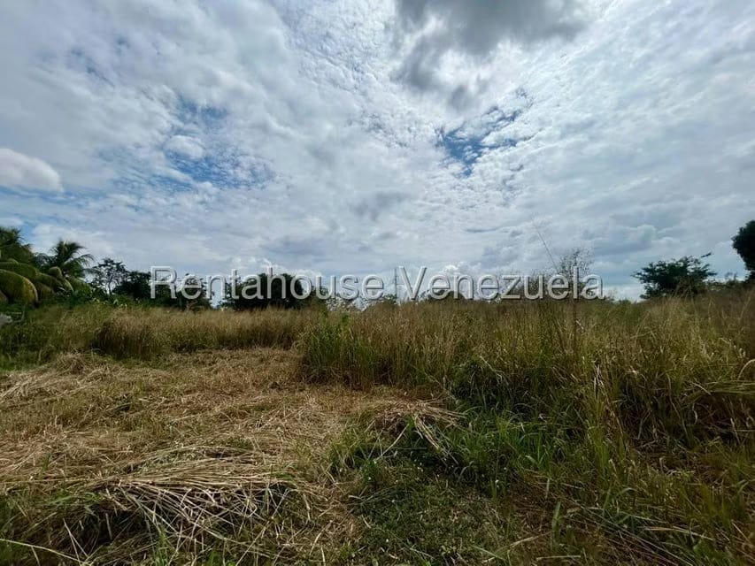 Terreno (Comercial) en Venta en Municipio Peña, Yaracuy - 12
