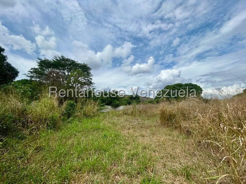 Terreno (Comercial) en Venta en Municipio Peña, Yaracuy - 13