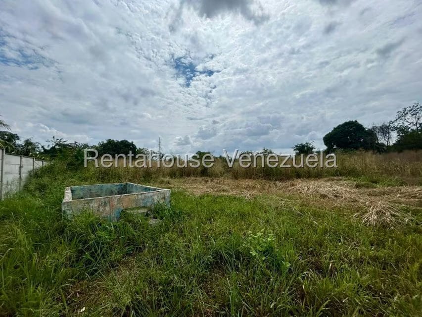 Terreno (Comercial) en Venta en Municipio Peña, Yaracuy - 6